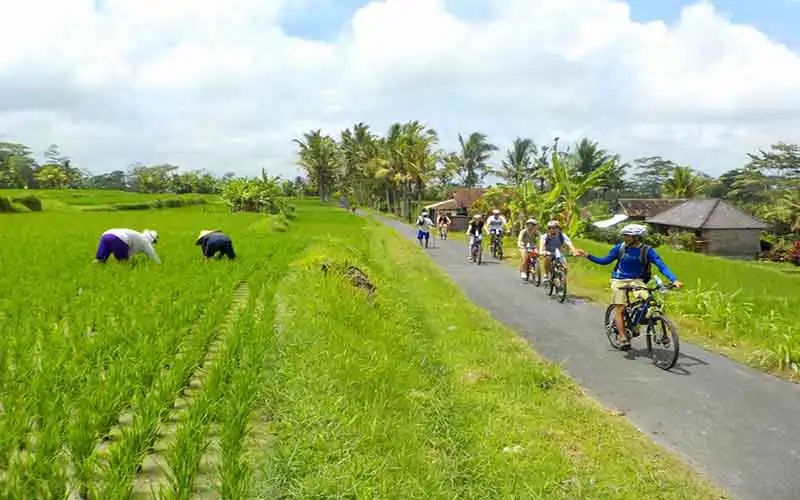 downhill cycling downhill cycling